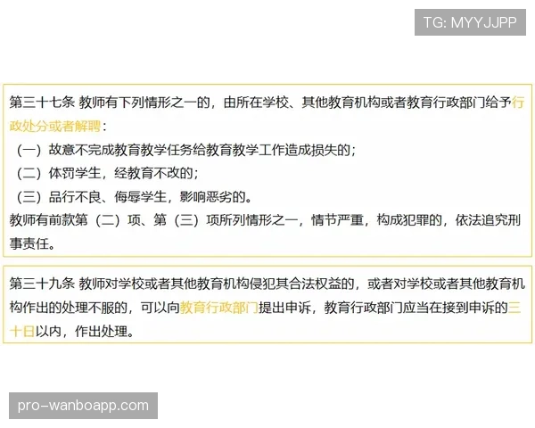 延期比赛规则有哪些关键细节易被忽视？规则拆解助你全面理解